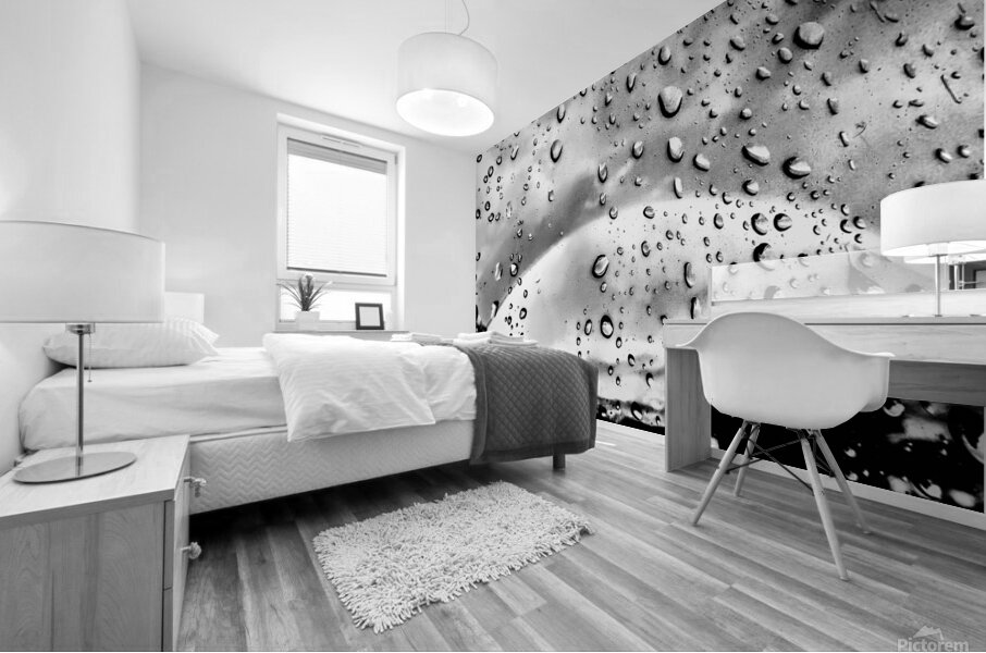 Silver  Rainbow Mural print