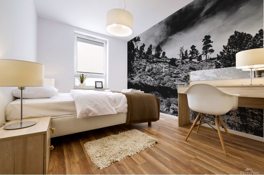 The Sky Cracked Open Mural print