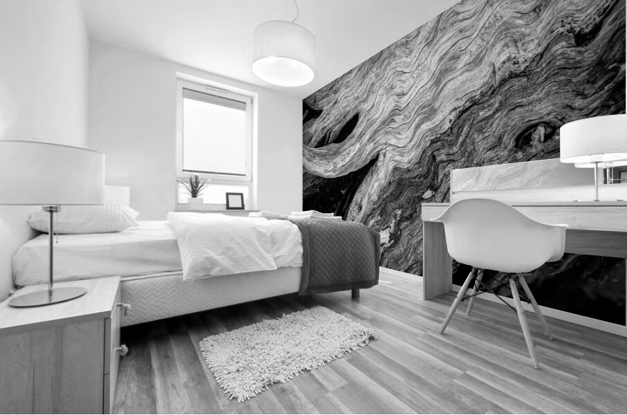 Abstract  Bald Cypress Tree Root Patterns in Black and White Mural print