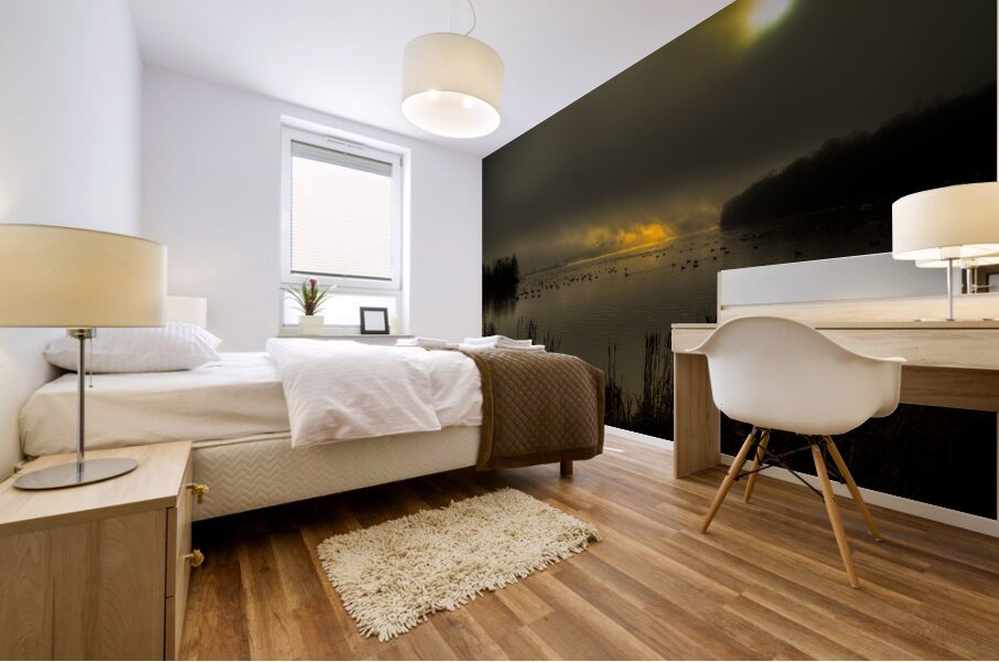 LAN 02074 Mural print