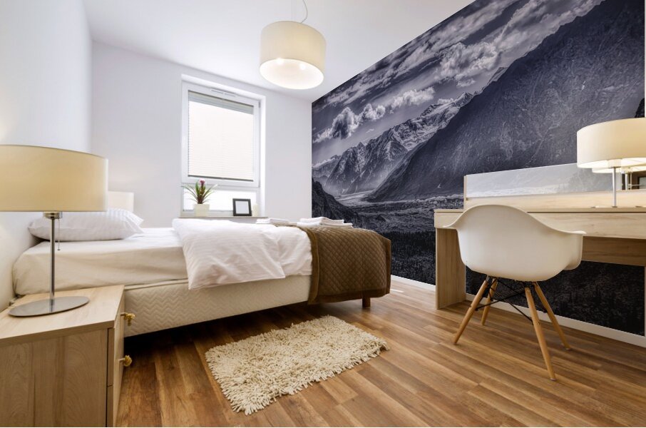 LAN 02064 Mural print