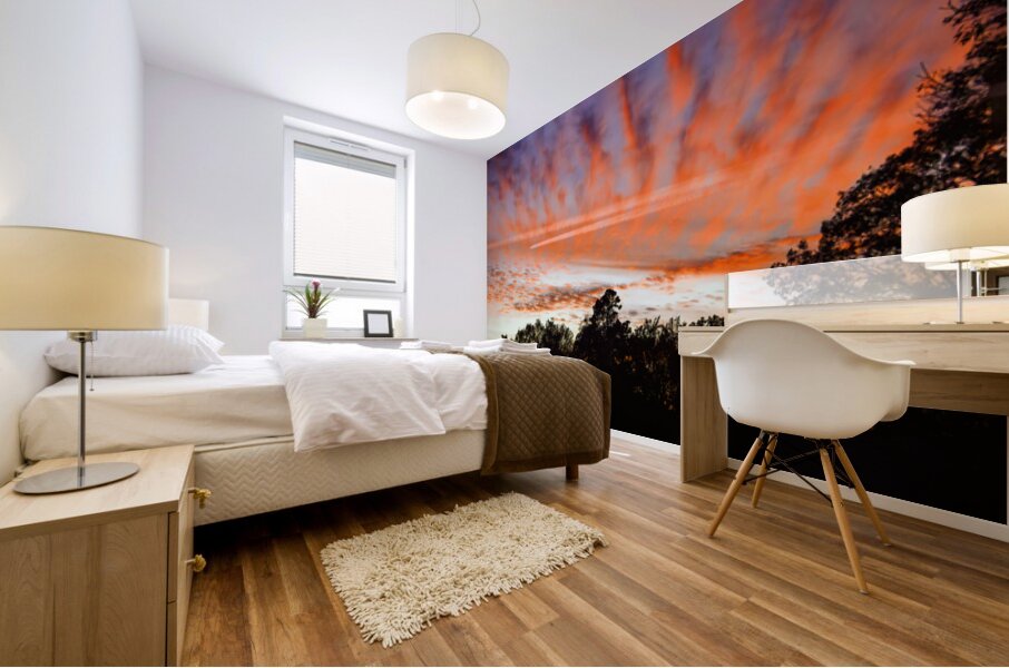 Airplane Contrails in the Sky Mural print