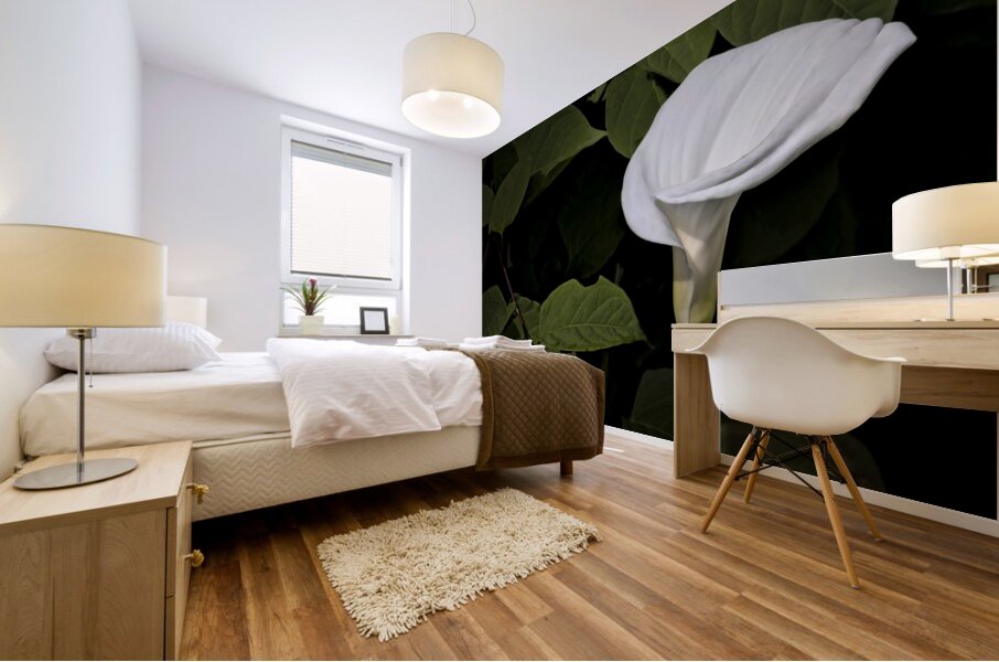 One White Calla Lily  Mural print
