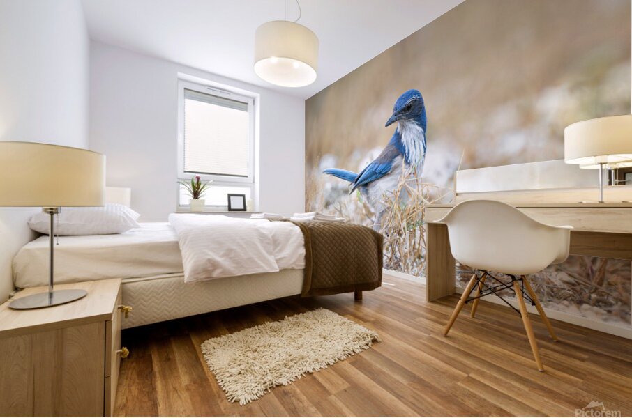 DSC00890 Mural print