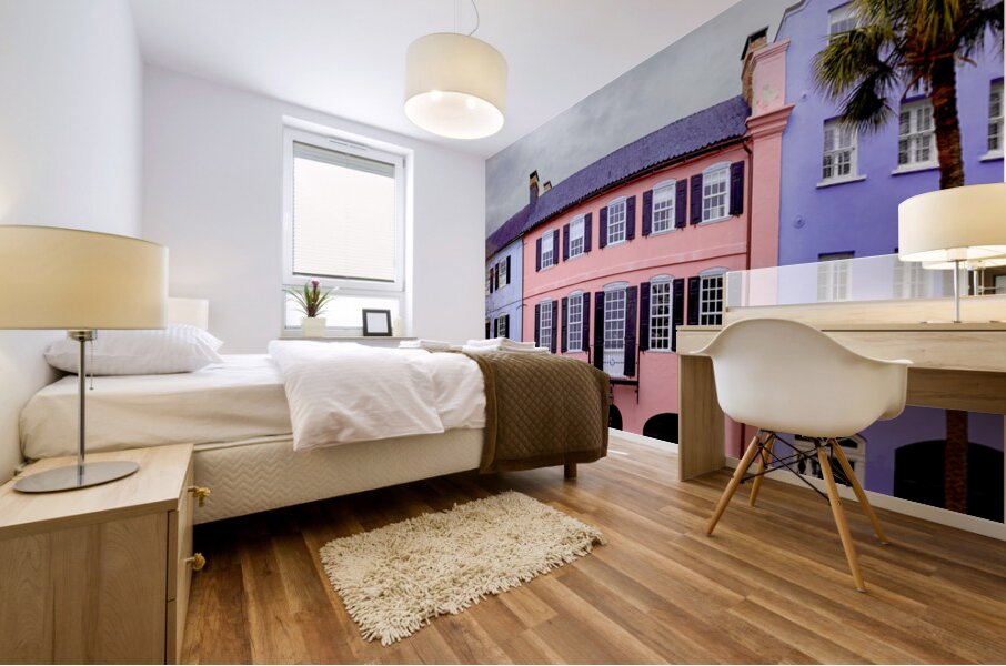 Charleston Rainbow Row Mural print