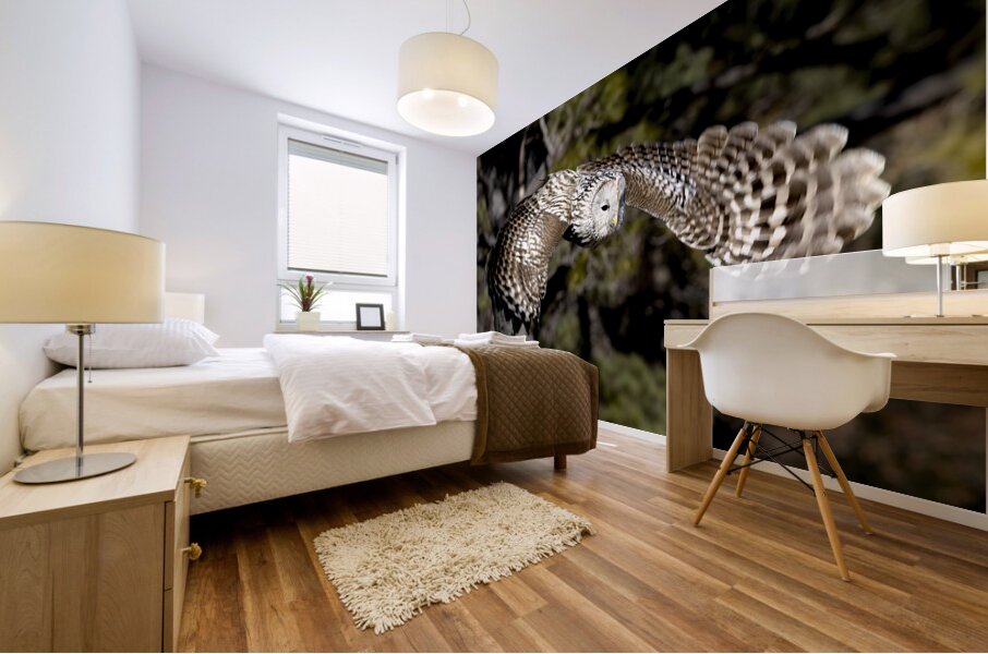 Avian Center for Birds of Prey South Carolina Mural print