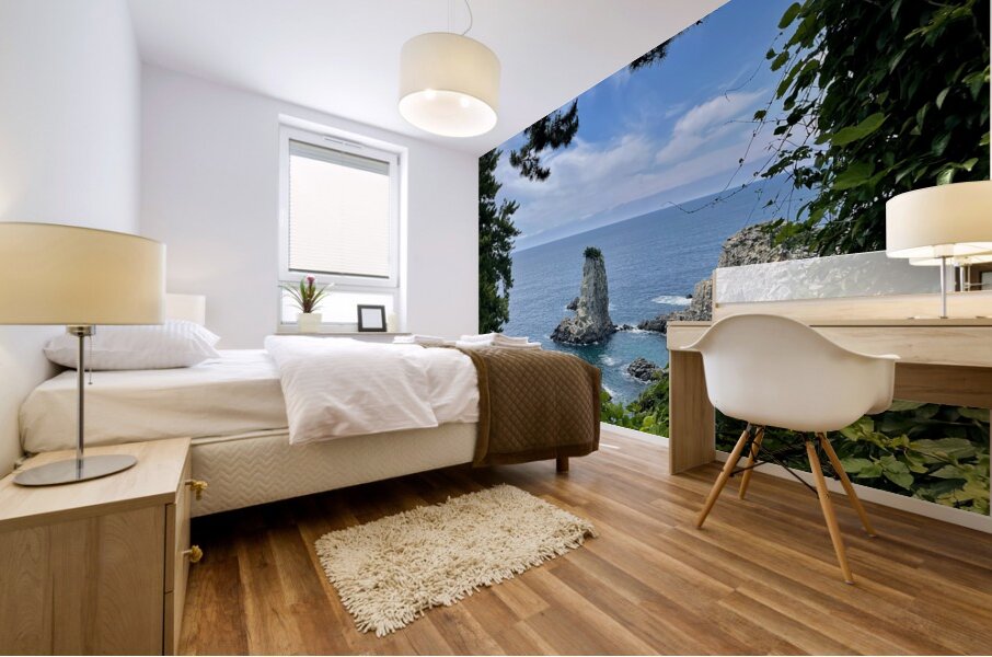 Oedolgae Rock Mural print