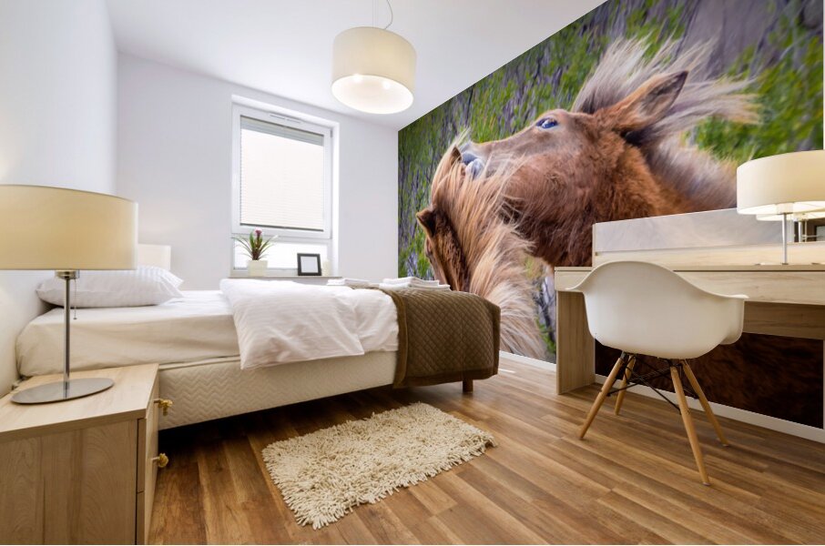 Wild Horses Sparring Mural print