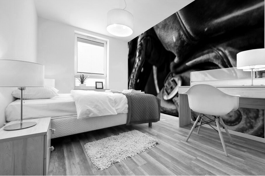 texas cowboy boot in stirrup  vertical 818 Stirru Mural print