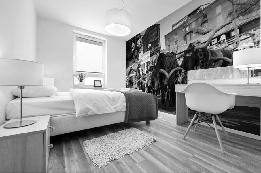 stockyard cattle drive  horizontal 803 Drive 13k. Mural print