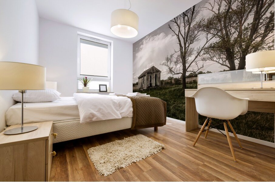 Virginia Eastern Shore Shack Mural print