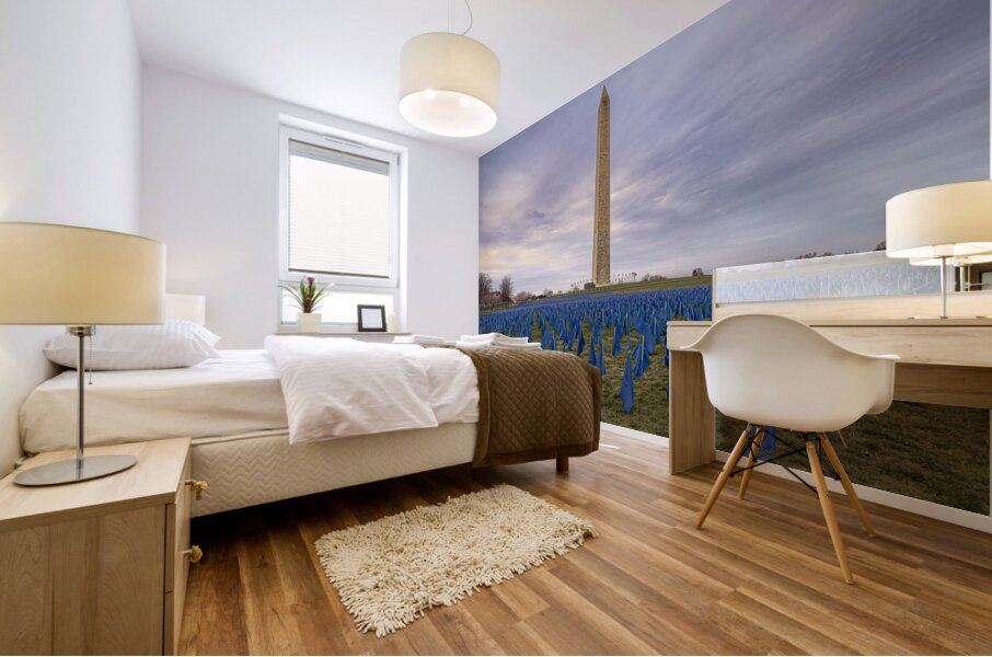 Flag DIsplay Mural print