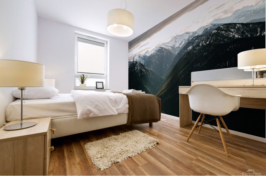 Beams of Light at Hurricane Ridge Mural print