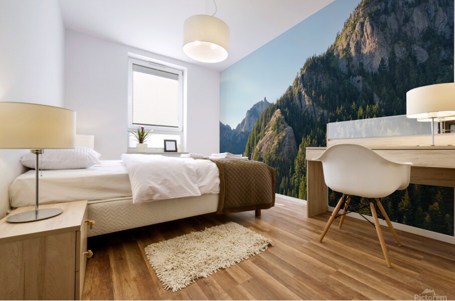 Light in the Olympics Mural print