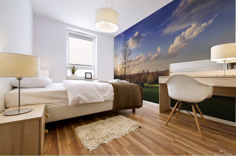 The first signs of spring in the field Mural print