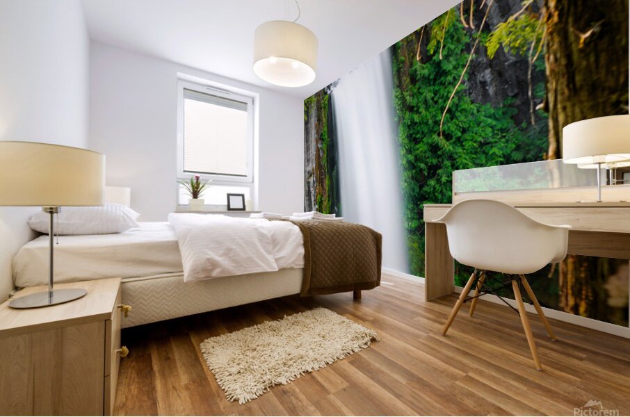 Toketee Falls 2x5 Mural print