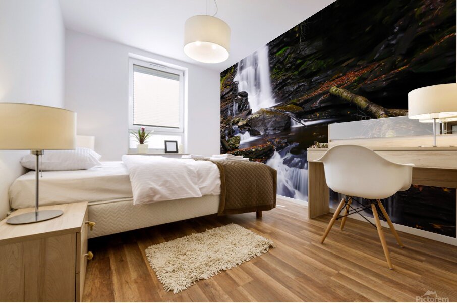 Ricketts Glen 5 Mural print