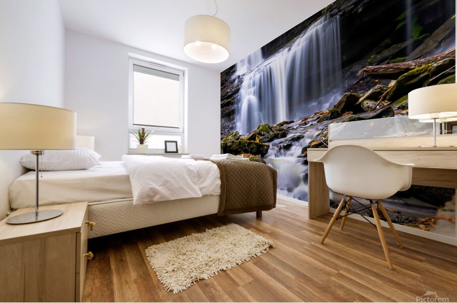 Ricketts Glen 6 Mural print