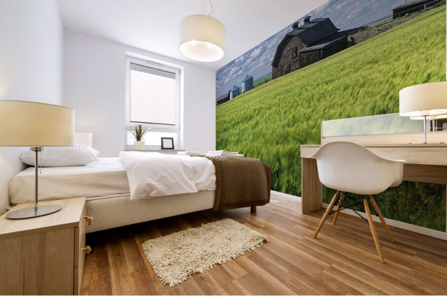 Abandoned Farm Mural print