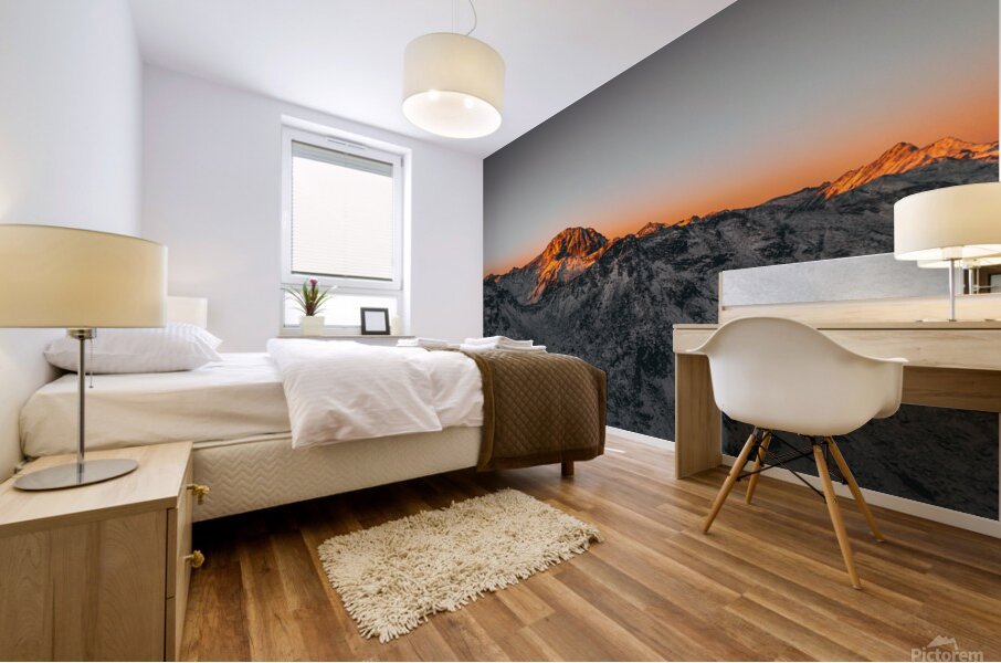 DJI 20231029080300 0081 D copy Mural print