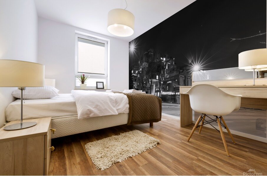 IMG 1826 Mural print