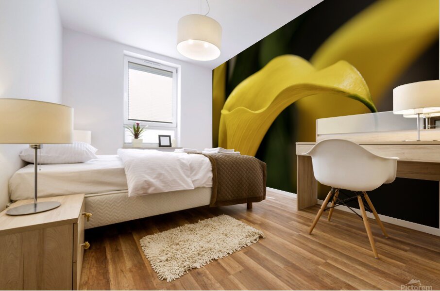 Yellow Calla Lilies Mural print