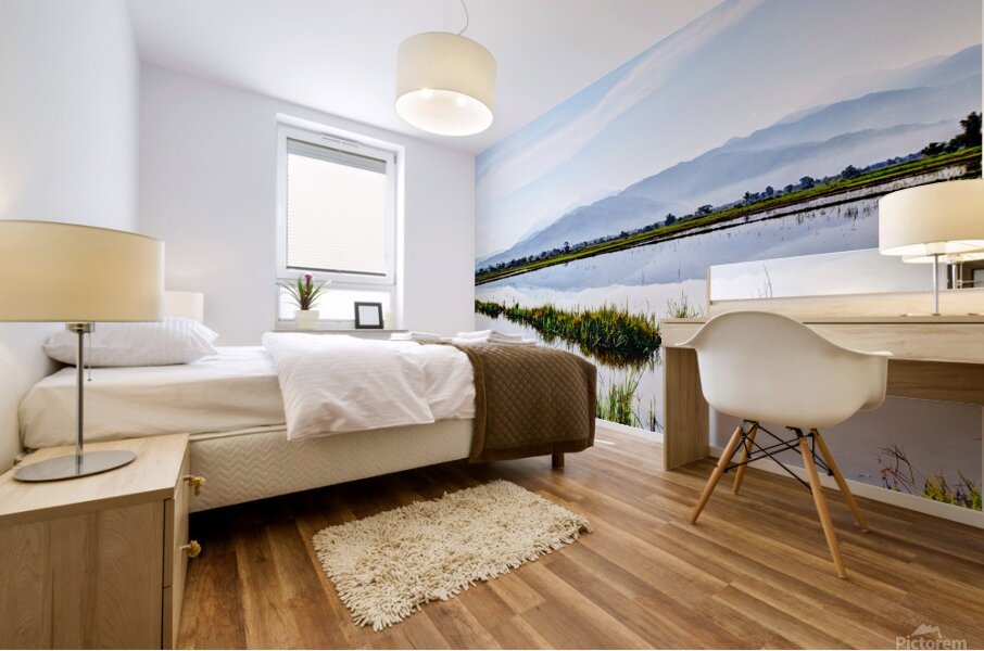 Nueva Ecija-Rice Patties 7571 Mural print