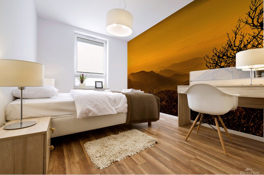 Craggy Gardens Sunset Mural print