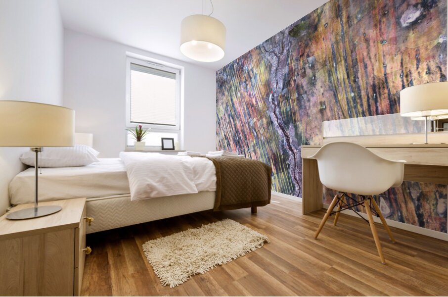 QEAA 003 – Earth As Art USGS Mural print