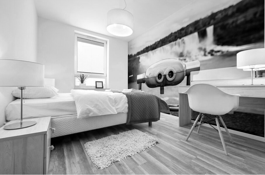 View point at Niagara Falls  Mural print