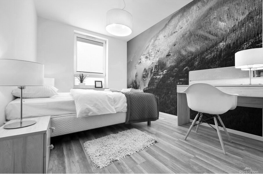 6750 Columbia River Gorge B and W 1 of 1 Mural print