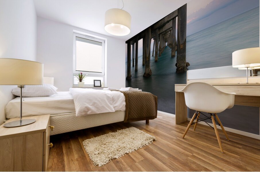 01242023 misc 1573 Enhanced NR Mural print