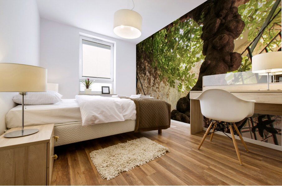 IMG 4279 Mural print