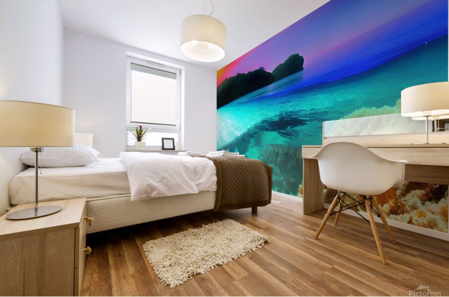 sea ocean landscape water transparent clean coral Mural print