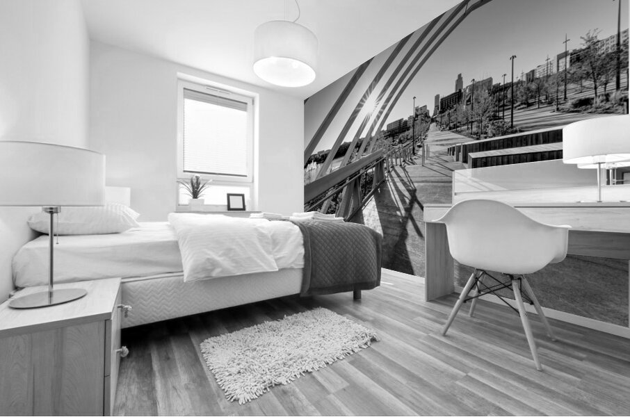 Omaha Farnam Pier Evening Sunburst Grayscale Mural print