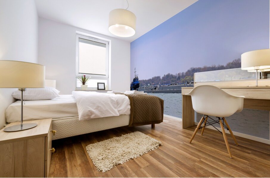 Spartan and Spartan II Mural print