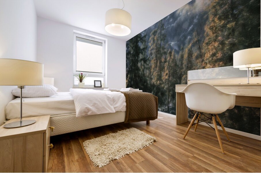 Yosemite Down Stream Mural print