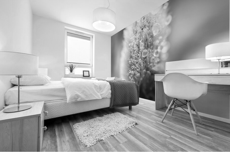 Pussy WIllow Flower With Droplets B&W Mural print