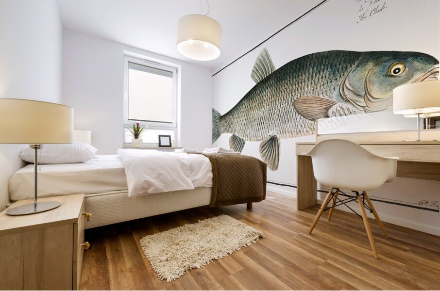 Ide Orfe Mural print