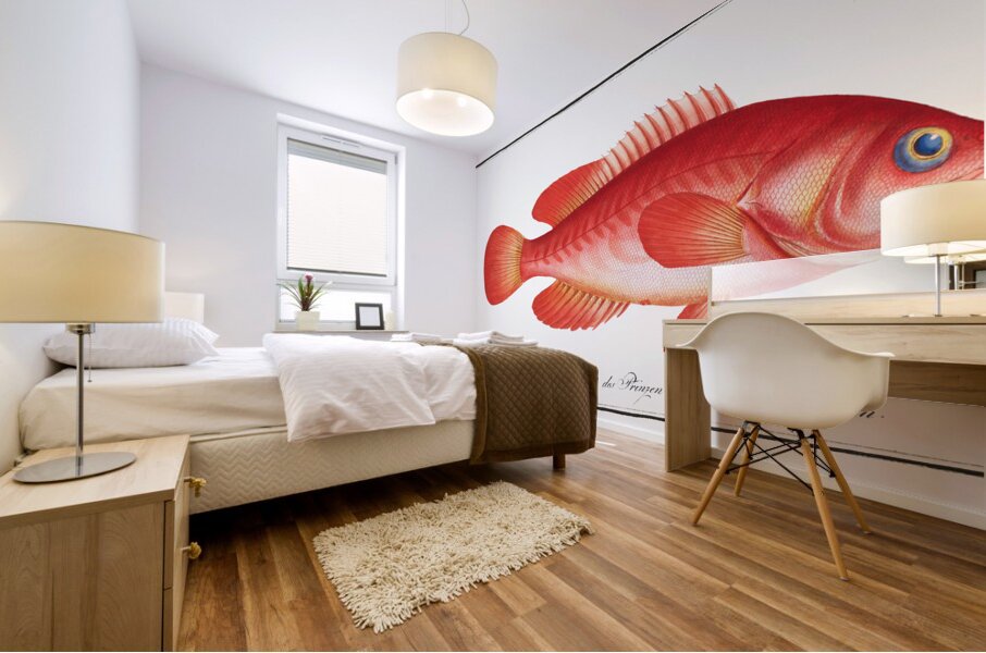 Mottled Grouper Mural print