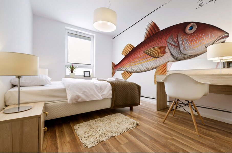 Striped Red Mullet Surmullet Mural print
