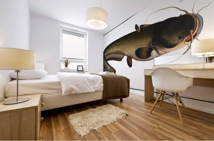 Wels Catfish Sheatfish Mural print