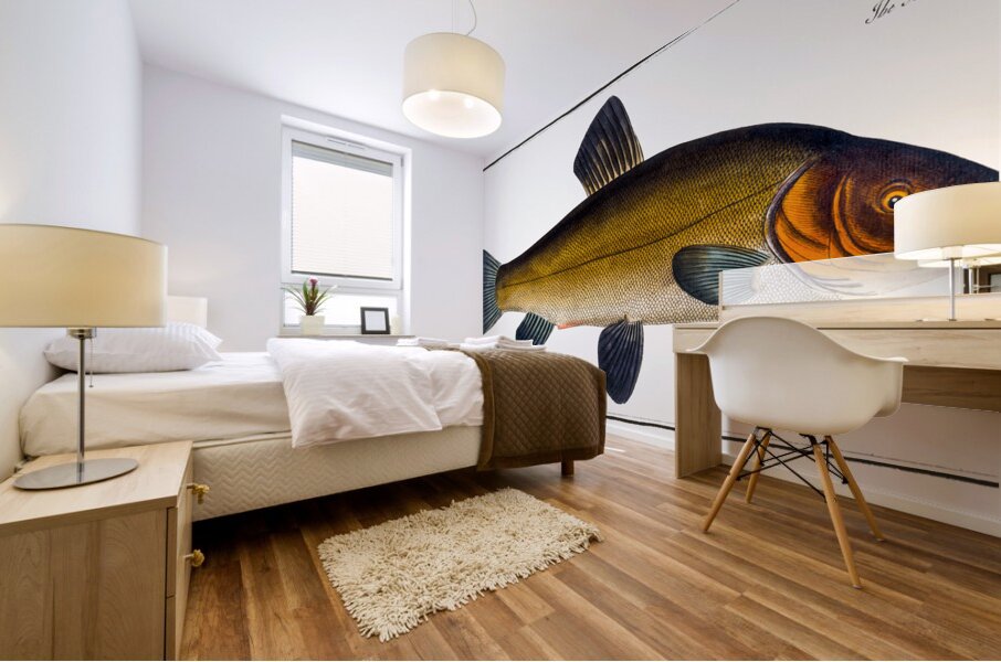 Tench Doctor Fish Mural print