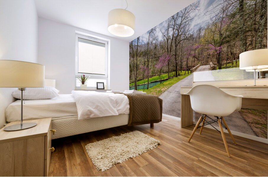 Walking Path On Spring Season Day Mural print