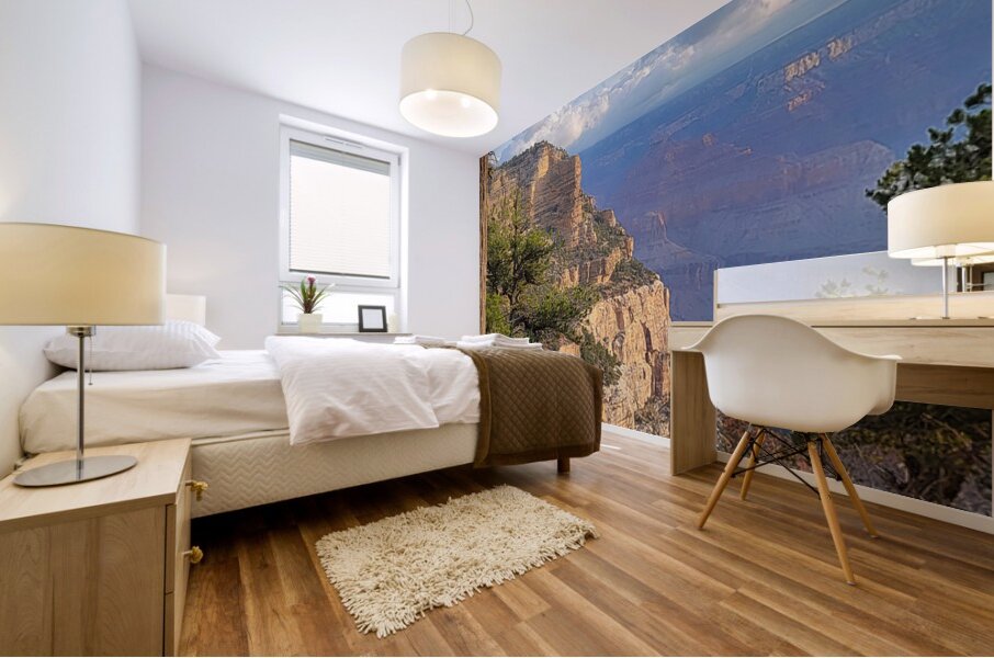 Morning at the Grand Canyon Mural print