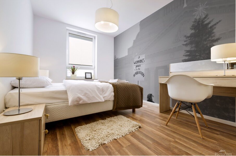 A Womans Place...is in The Revolution.  Mural print