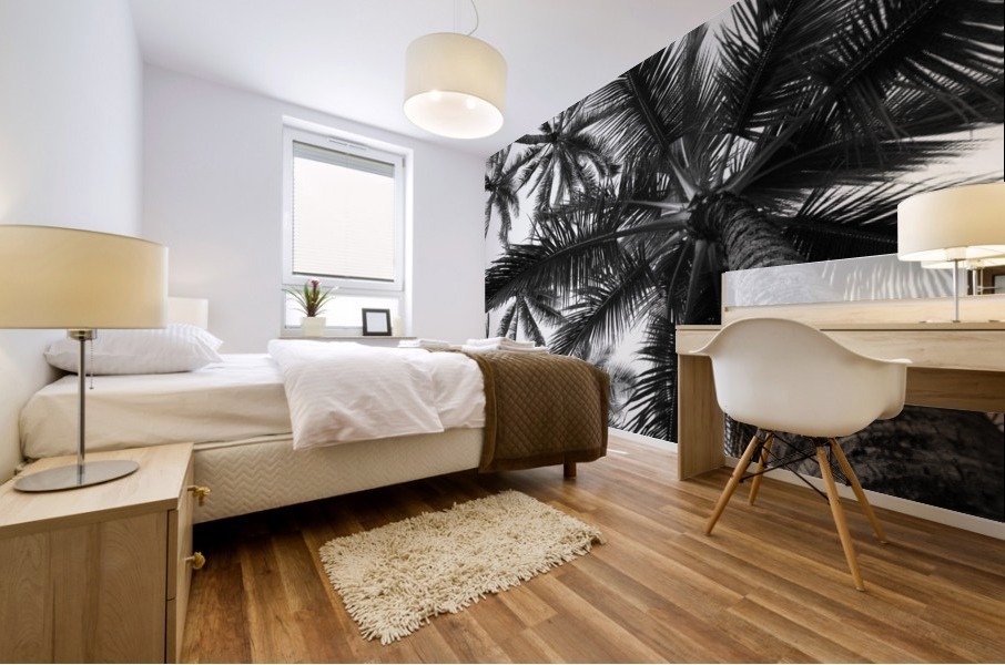 Low angle view of coconut palm trees in black and white; Honolulu, Oahu, Hawaii, United States of America Mural print