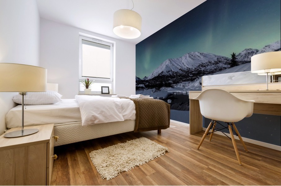Aurora Borealis (Northern Lights) dance above Idaho Peak and the Little Susitna River at Hatcher Pass in winter, South-central Alaska; Alaska, United States of America Mural print