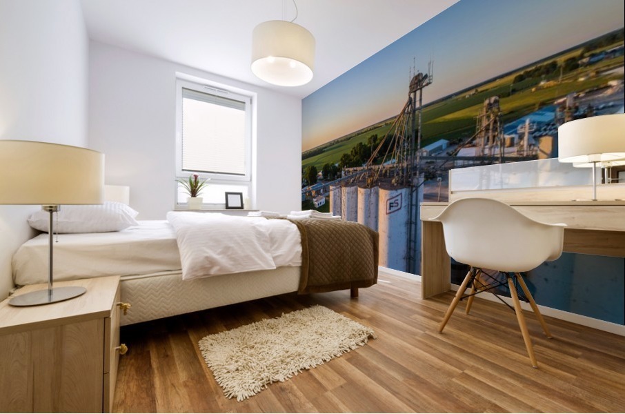 Schuyler County, IL FS Towers Mural print