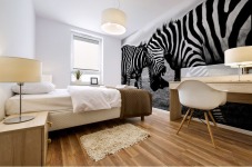 black and white africa animals wilderness Mural print